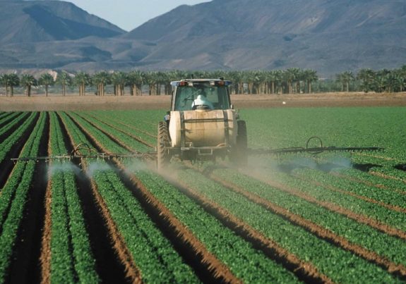 Pesticide health cancer