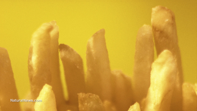 Close-Up-French-Fries